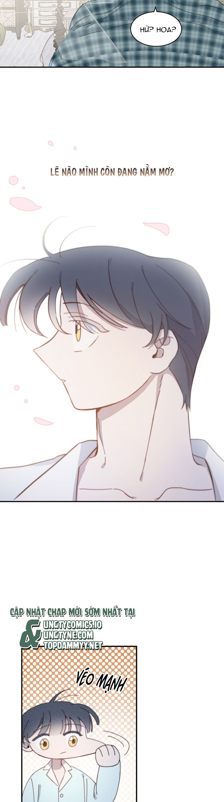 Nghiêm Cấm Đồng Loại Chap 4 - Trang 2