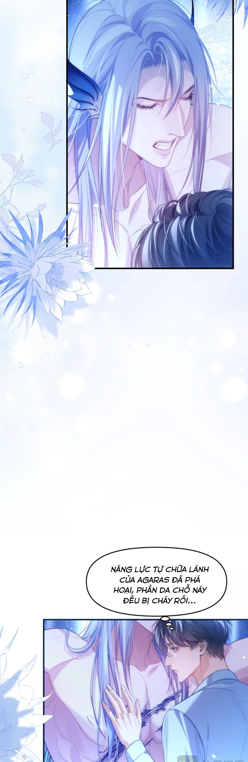 Desharow Nhân Ngư Chapter 69 - Next Chapter 70