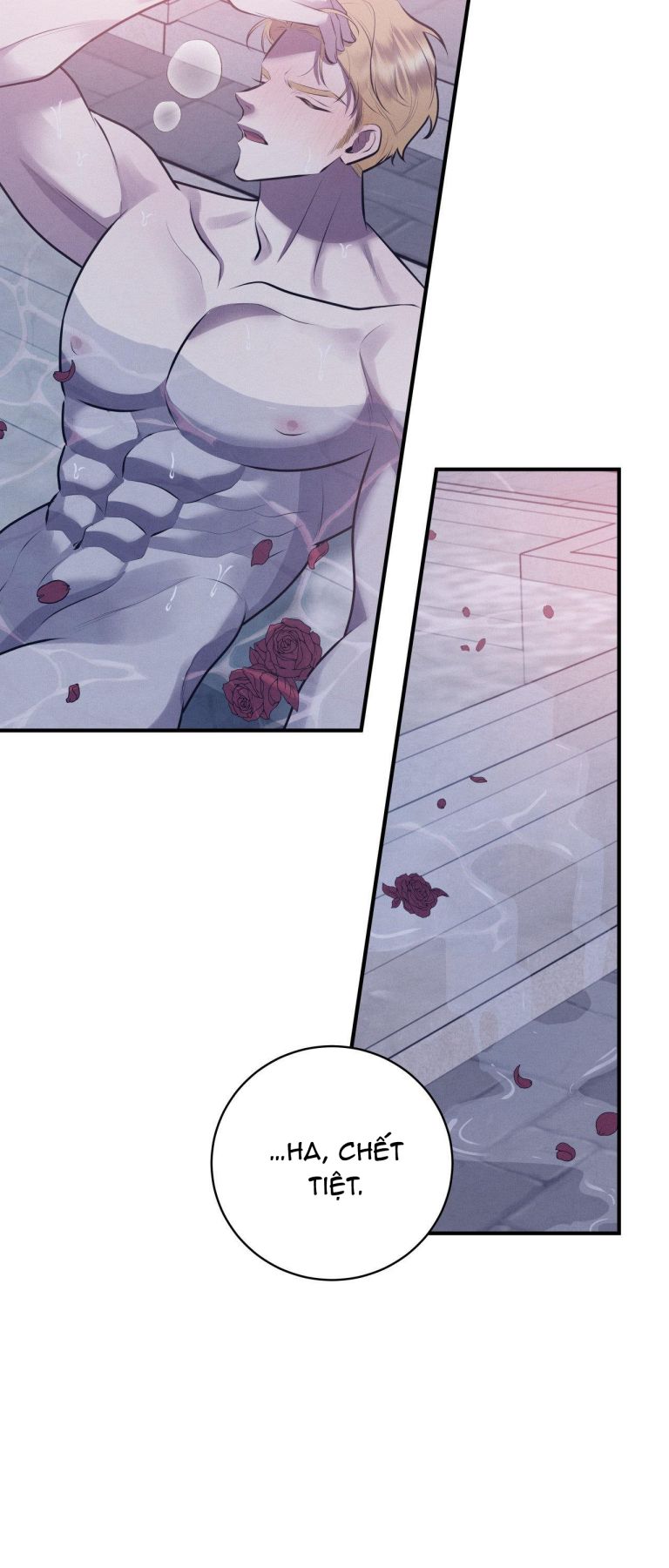 Hôn Nhân Gia Tộc Chap 1 - Trang 3