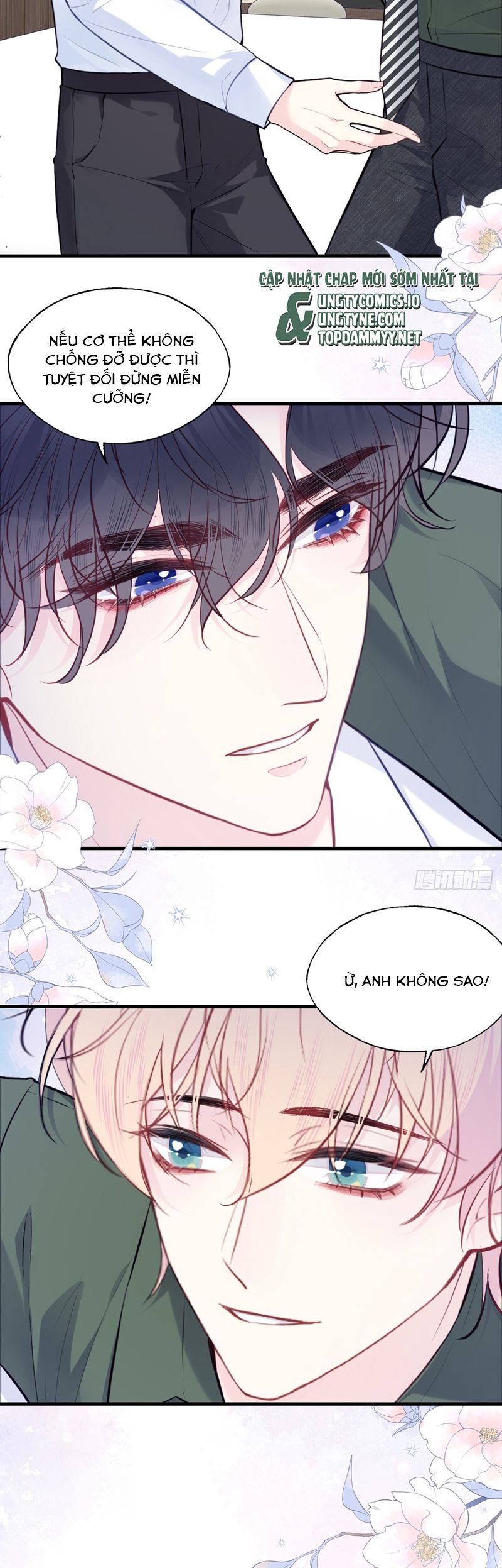Anh Ấy Chưa Từng Rơi Xuống Chap 94 - Next Chapter 94