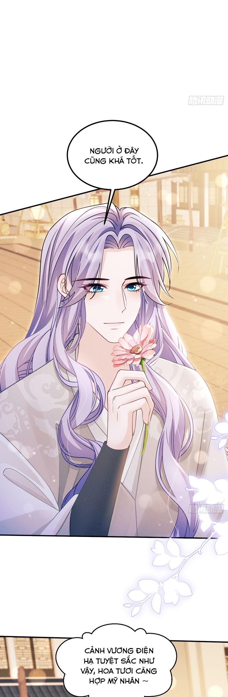 Tôi Hoài Nghi Ảnh Đế Đang Theo Đuổi Tôi Chapter 162 - Next Chapter 163