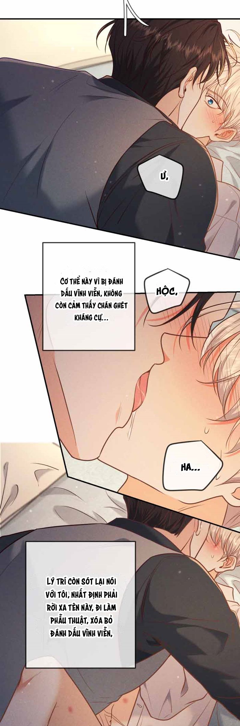 Đêm Tình Yêu Và Sát Ý Chapter 40 - Next Chapter 41