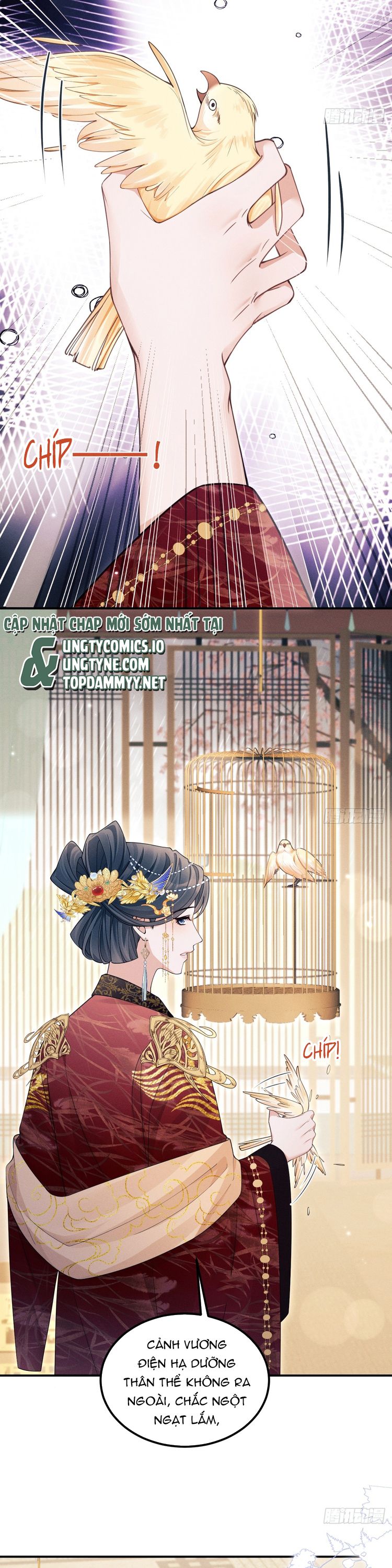 Tôi Hoài Nghi Ảnh Đế Đang Theo Đuổi Tôi Chapter 165 - Next Chapter 165