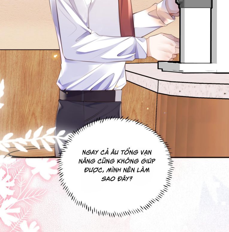 Tổng Tài Định Chế Tư Nhân Chap 117 - Next Chap 118