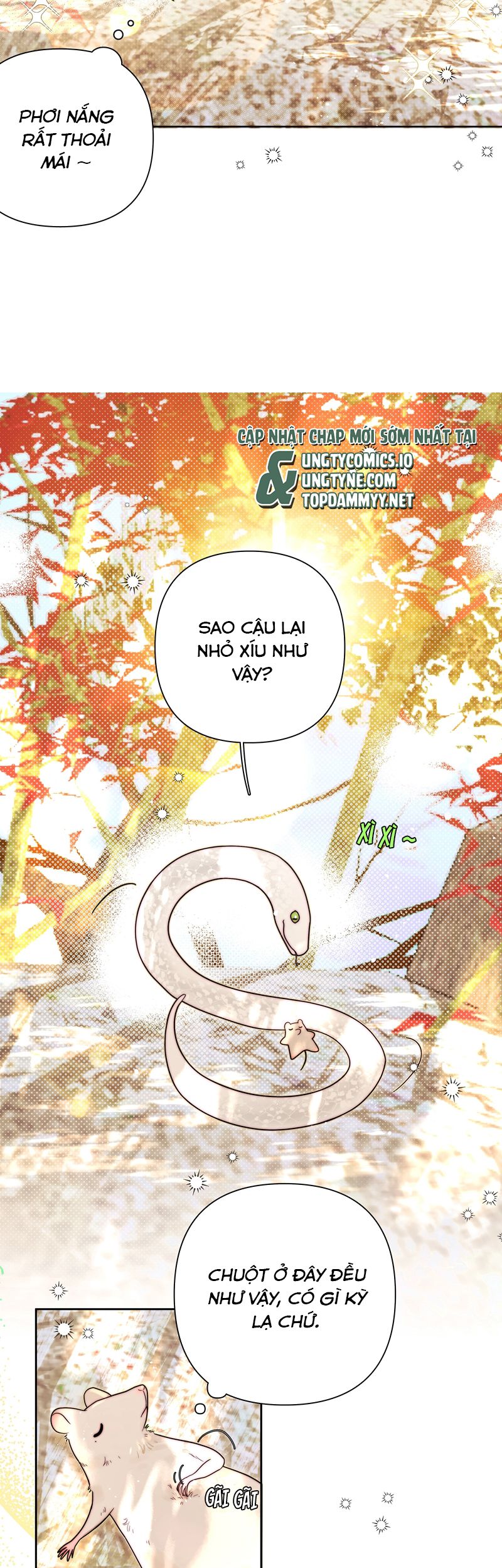 Sống Chung Cùng Kẻ Địch Trời Sinh Chapter 11 - Next Chapter 12