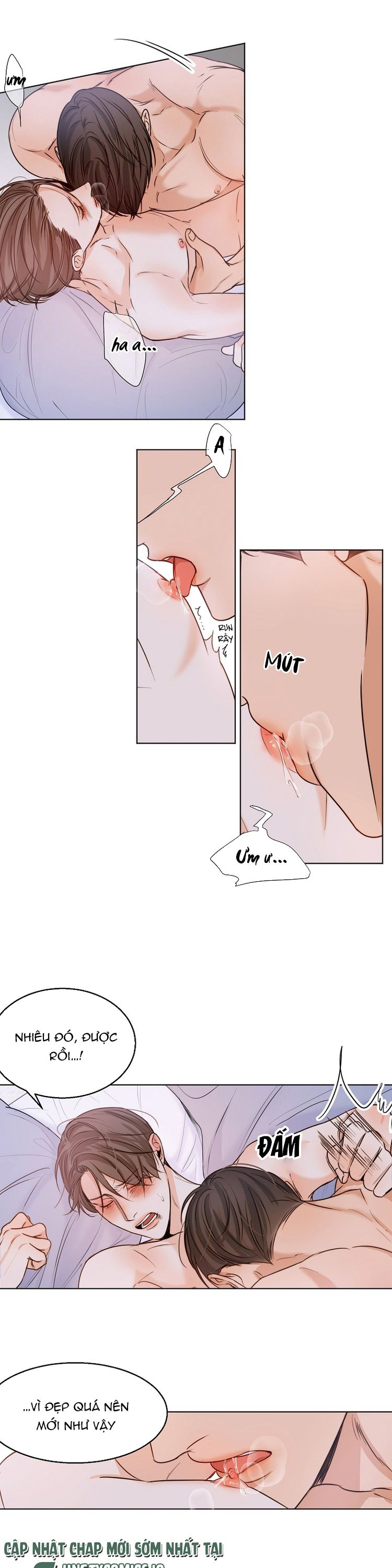 Secondo Piatto Chap 37 - Trang 2