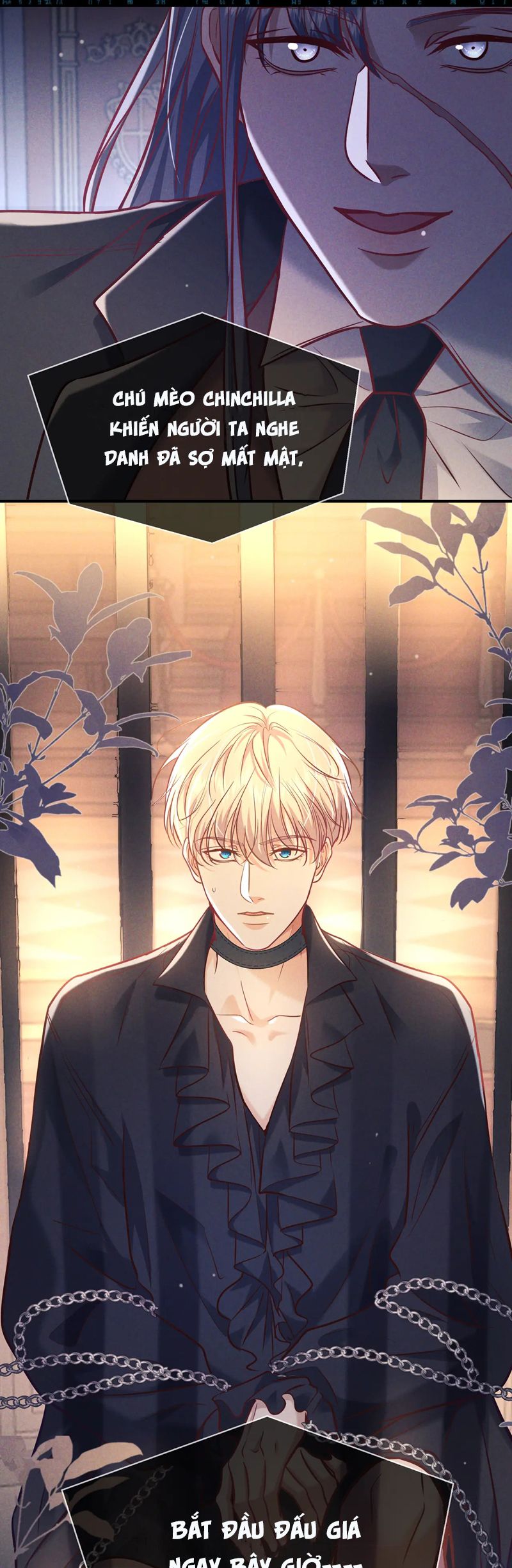 Đêm Tình Yêu Và Sát Ý Chapter 43 - Next Chapter 44