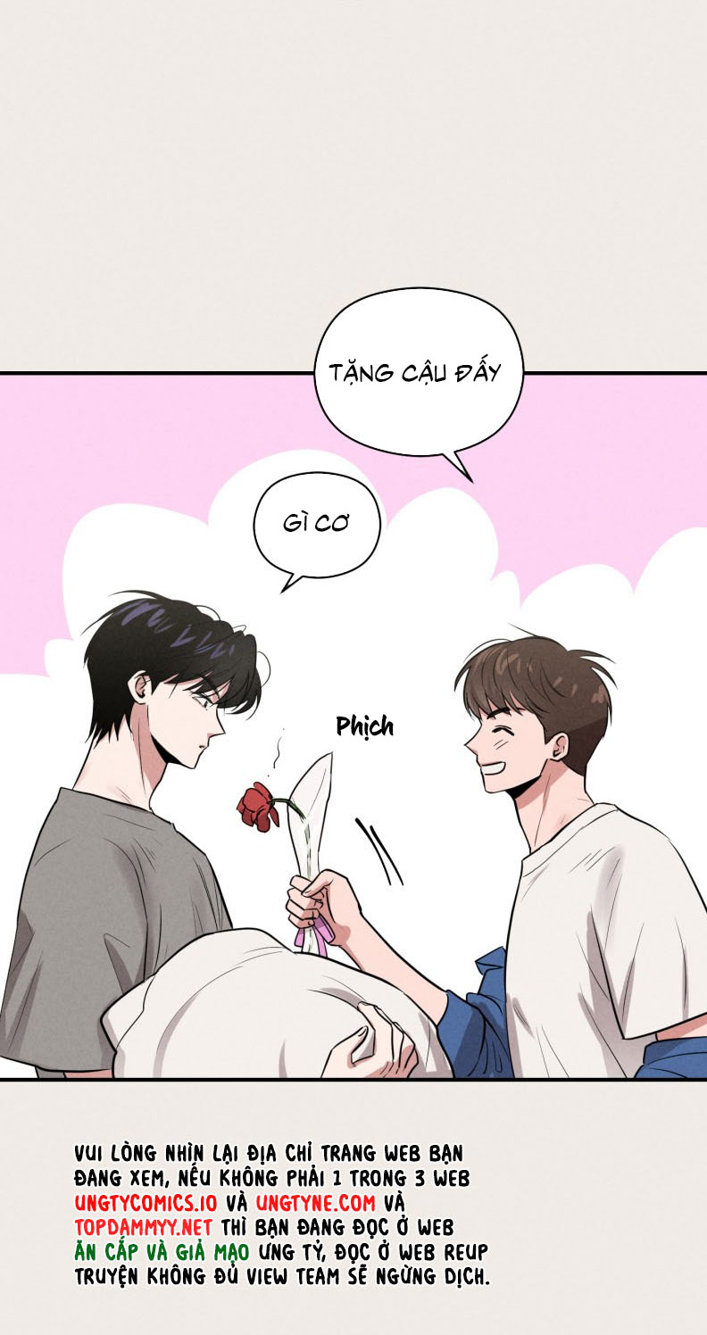 Báo Cáo Thanh Xuân 1995 Chapter 15 - Next Chapter 16
