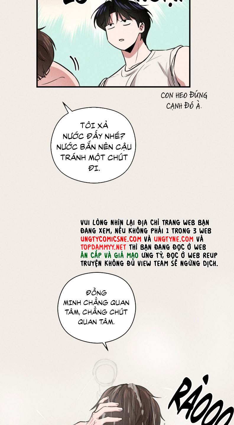 Báo Cáo Thanh Xuân 1995 Chapter 16 - Next Chapter 17