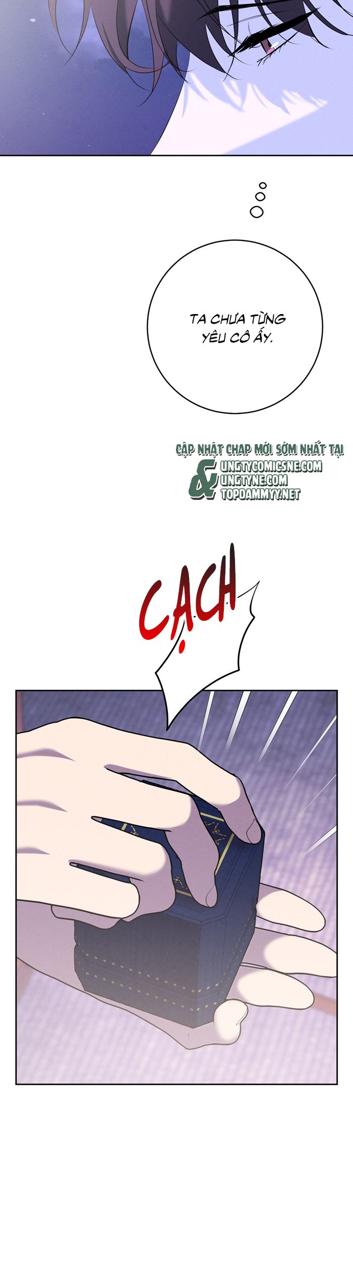 Hôn Nhân Gia Tộc Chap 13 - Trang 3