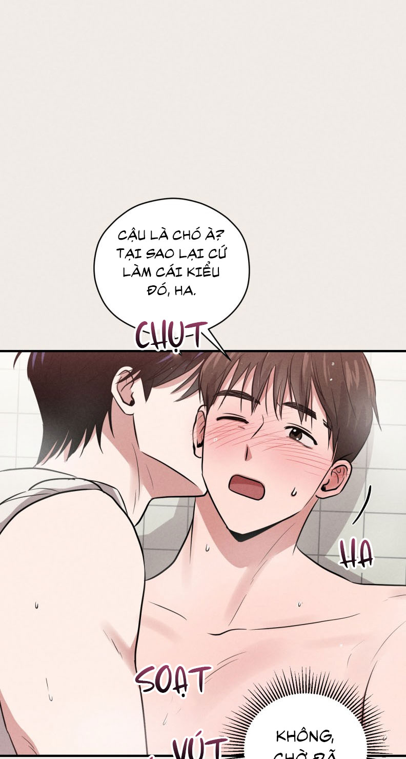 Báo Cáo Thanh Xuân 1995 Chapter 17 - Next Chapter 18