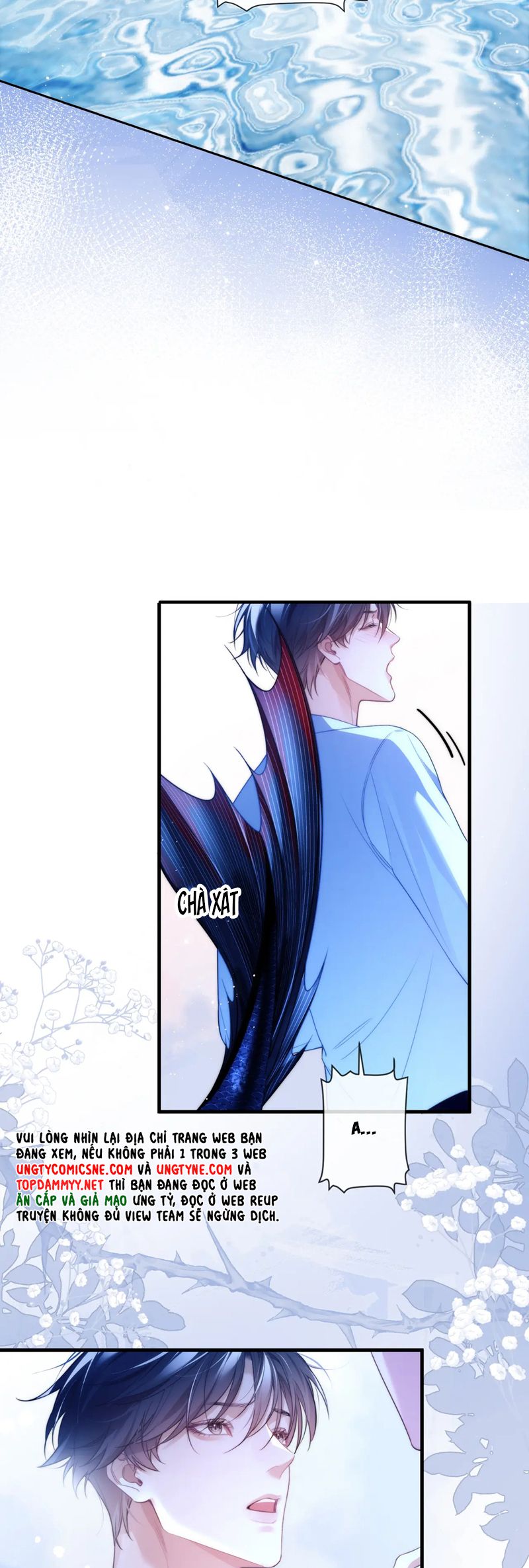 Desharow Nhân Ngư Chapter 74 - Next Chapter 75