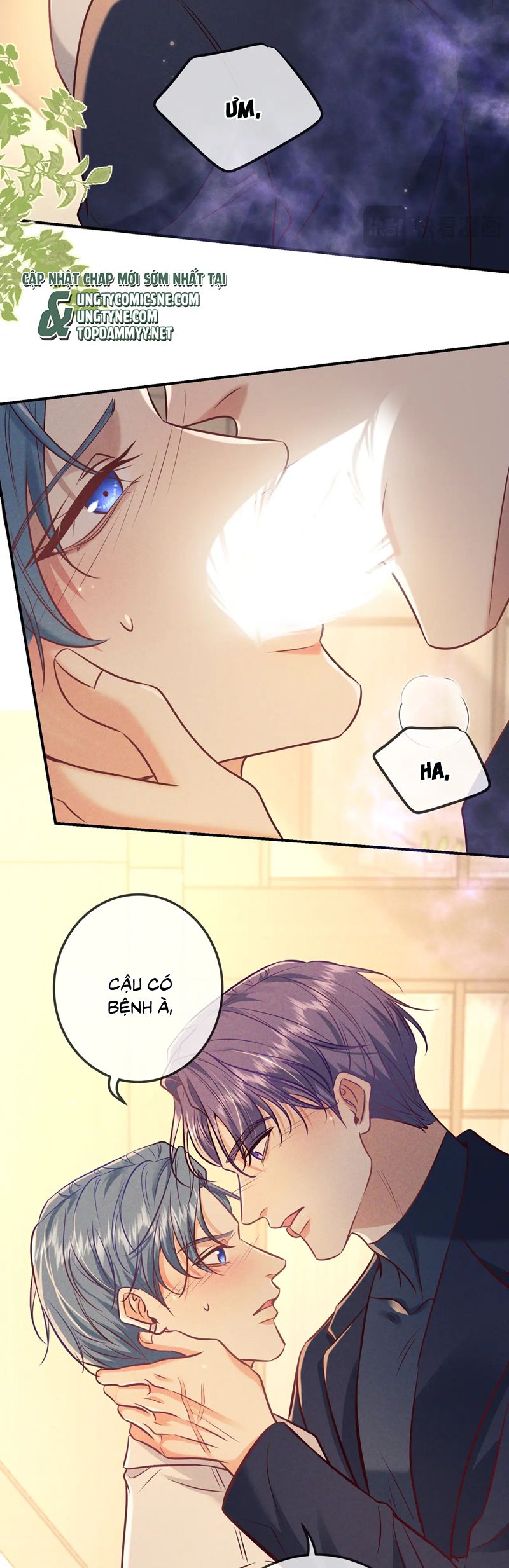 Đêm Tình Yêu Và Sát Ý Chapter 46 - Next Chapter 47