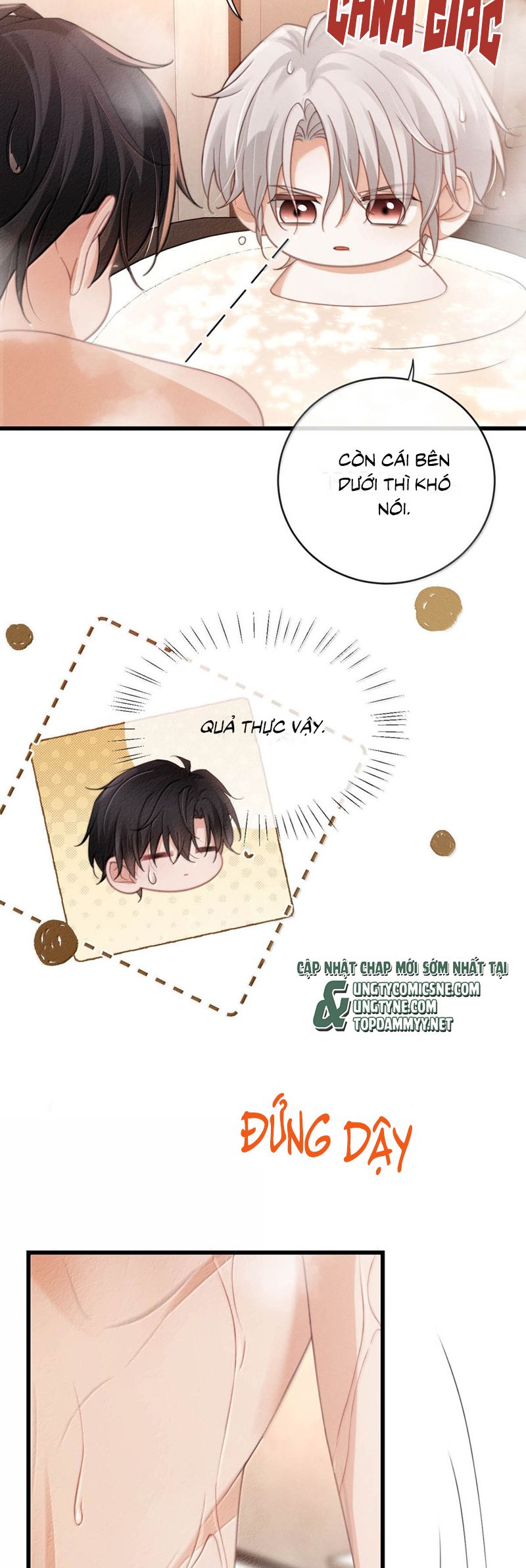 Nồng Đậm Tin Tức Tố Chapter 12 Cóa H - Next Chapter 13