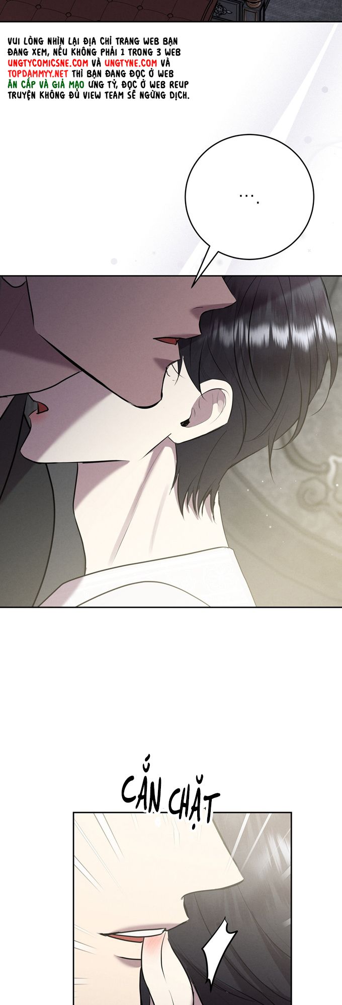 Hôn Nhân Gia Tộc Chap 15 - Trang 3