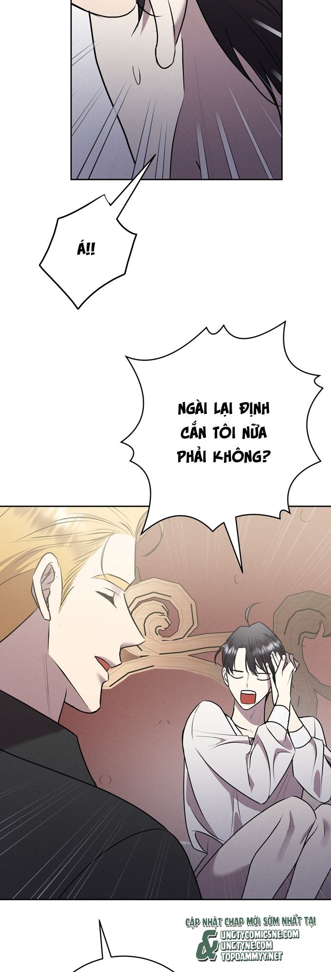 Hôn Nhân Gia Tộc Chap 15 - Trang 3