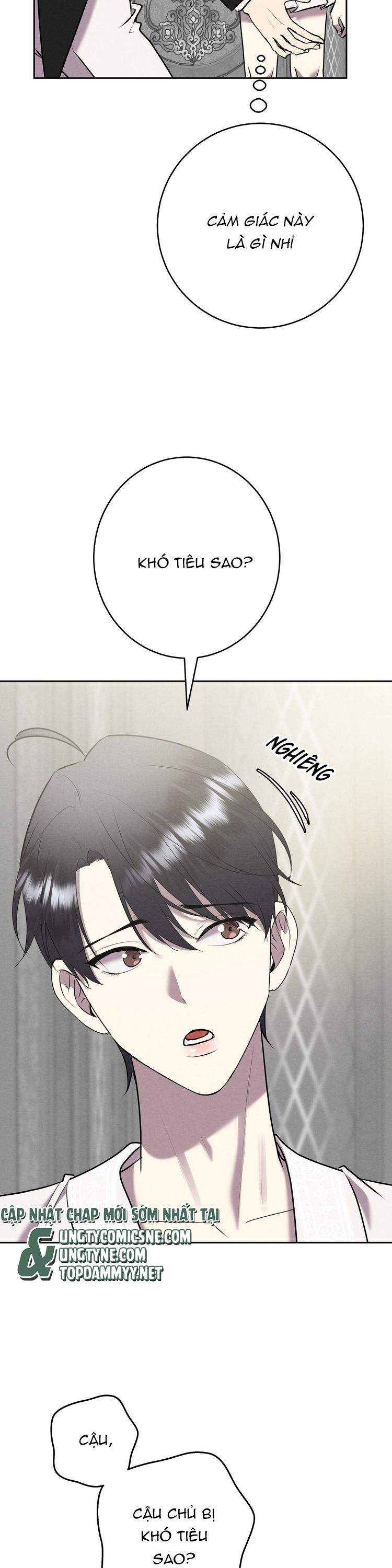 Hôn Nhân Gia Tộc Chap 16 - Trang 3