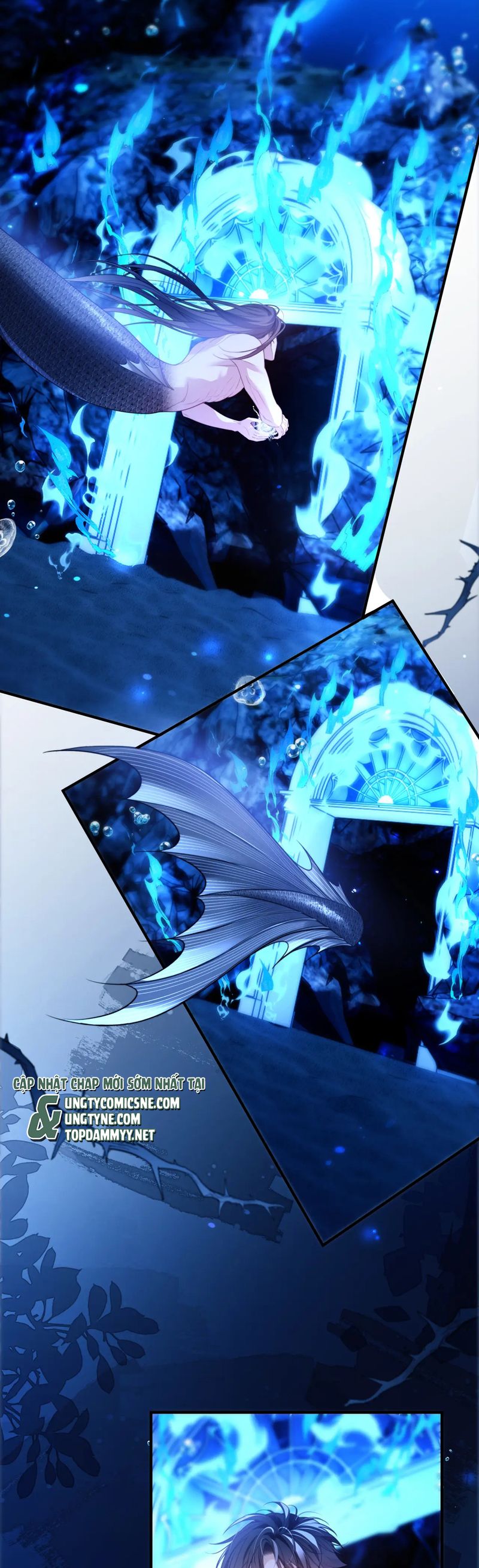 Desharow Nhân Ngư Chapter 76 - Next Chap 76