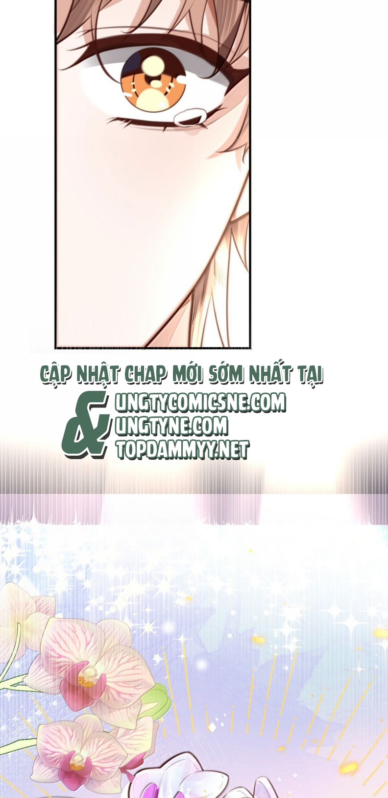 Tổng Tài Định Chế Tư Nhân Chapter 123 - Next Chapter 124