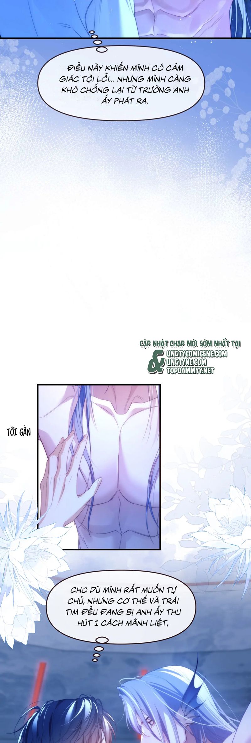 Desharow Nhân Ngư Chapter 77 - Next Chap 77
