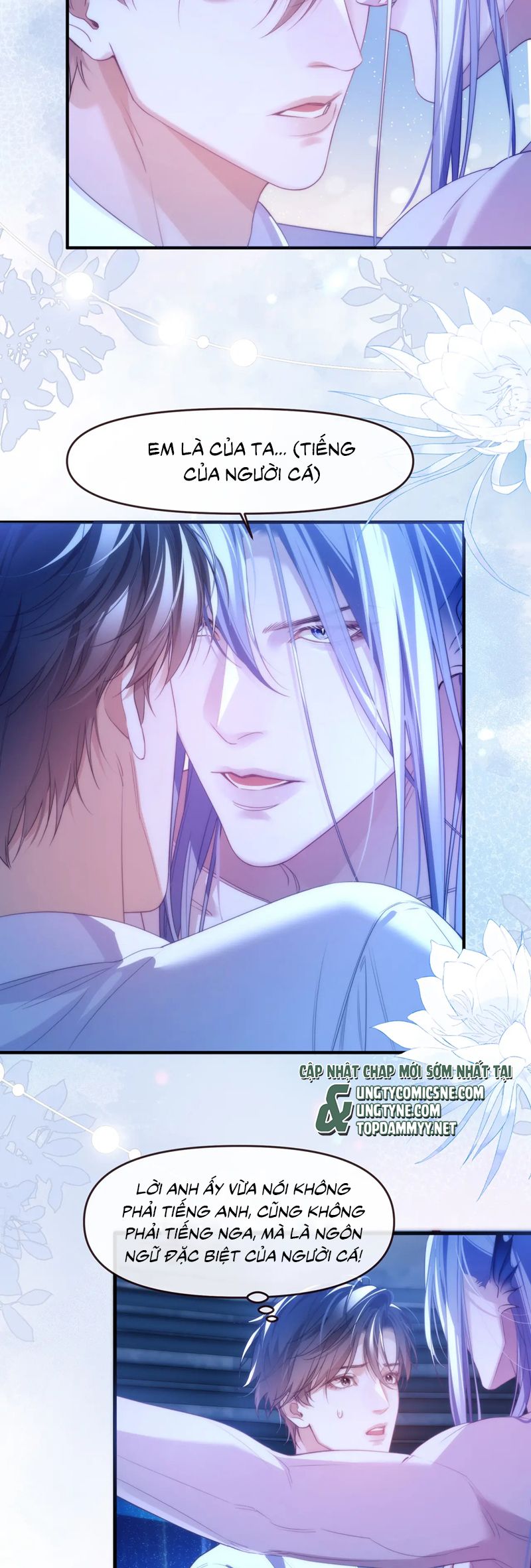 Desharow Nhân Ngư Chapter 77 - Next Chap 77