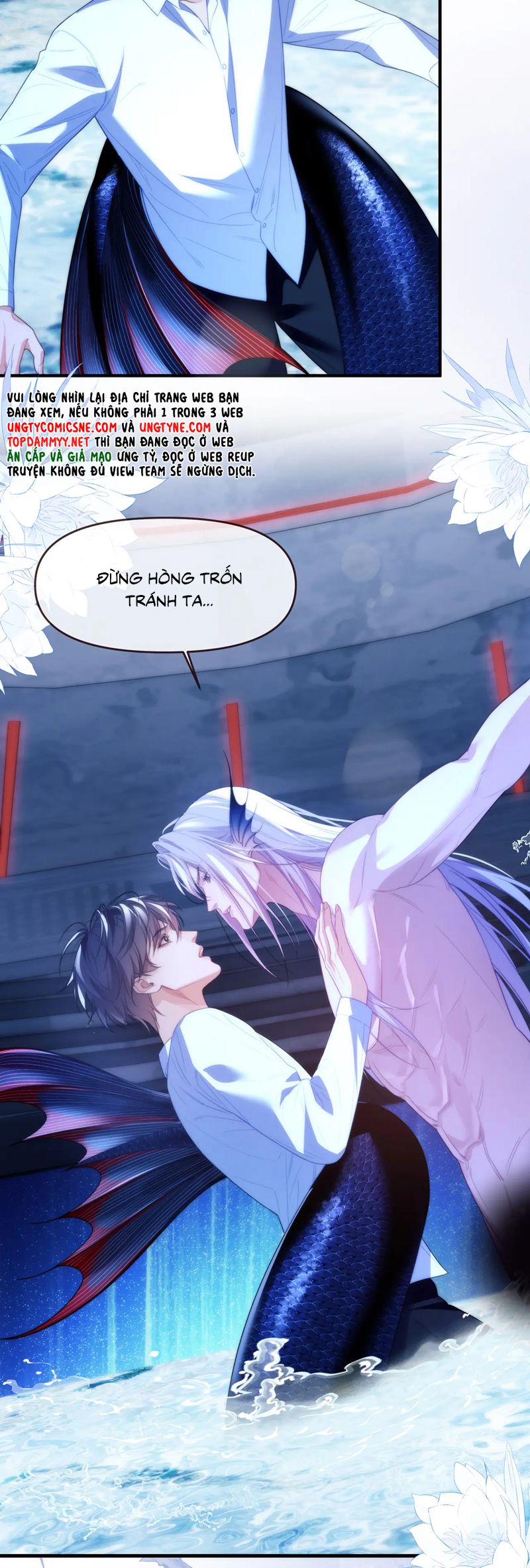 Desharow Nhân Ngư Chapter 77 - Next Chap 77