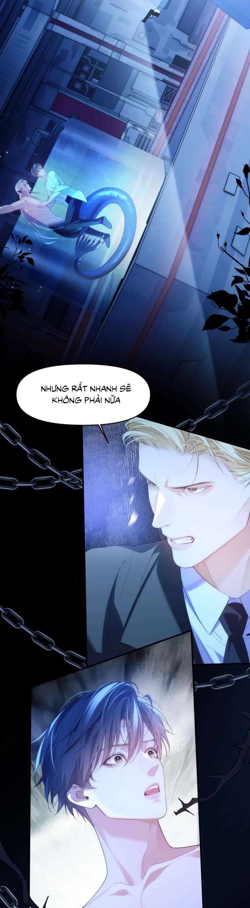 Desharow Nhân Ngư Chapter 78 - Next Chap 78