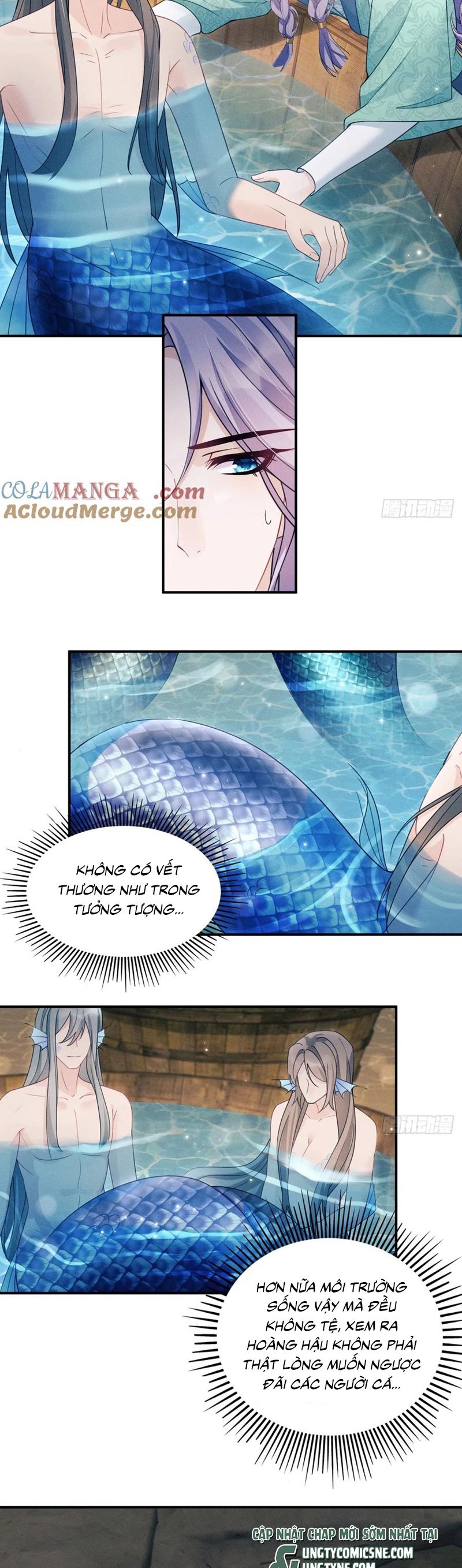Tôi Hoài Nghi Ảnh Đế Đang Theo Đuổi Tôi Chapter 174 - Next Chapter 175