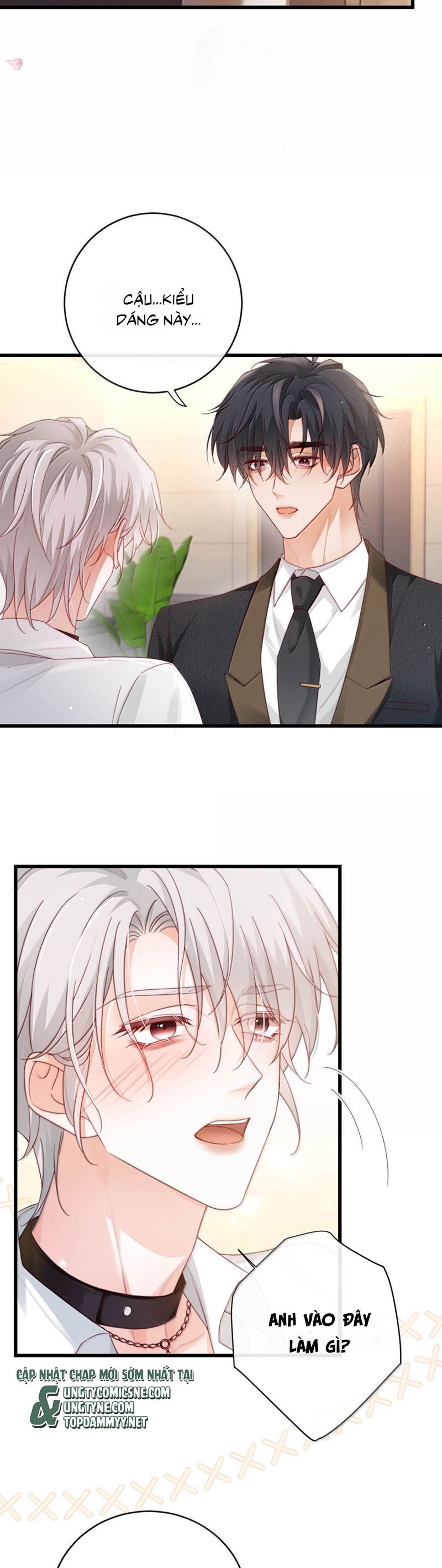 Nồng Đậm Tin Tức Tố Chapter 17 - Next Chapter 18