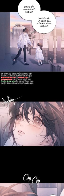Cây Nấm Nhỏ Chap 52 - Trang 4