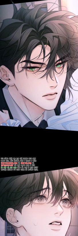 Cây Nấm Nhỏ Chap 52 - Trang 4