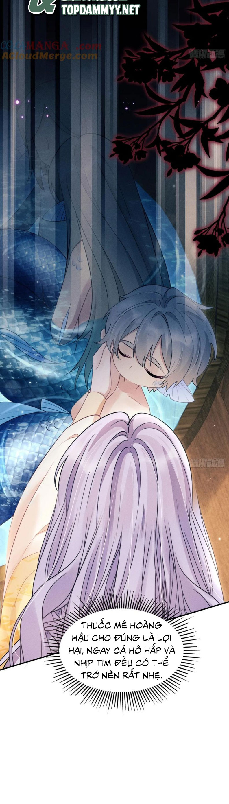 Tôi Hoài Nghi Ảnh Đế Đang Theo Đuổi Tôi Chapter 175 - Next Chapter 176