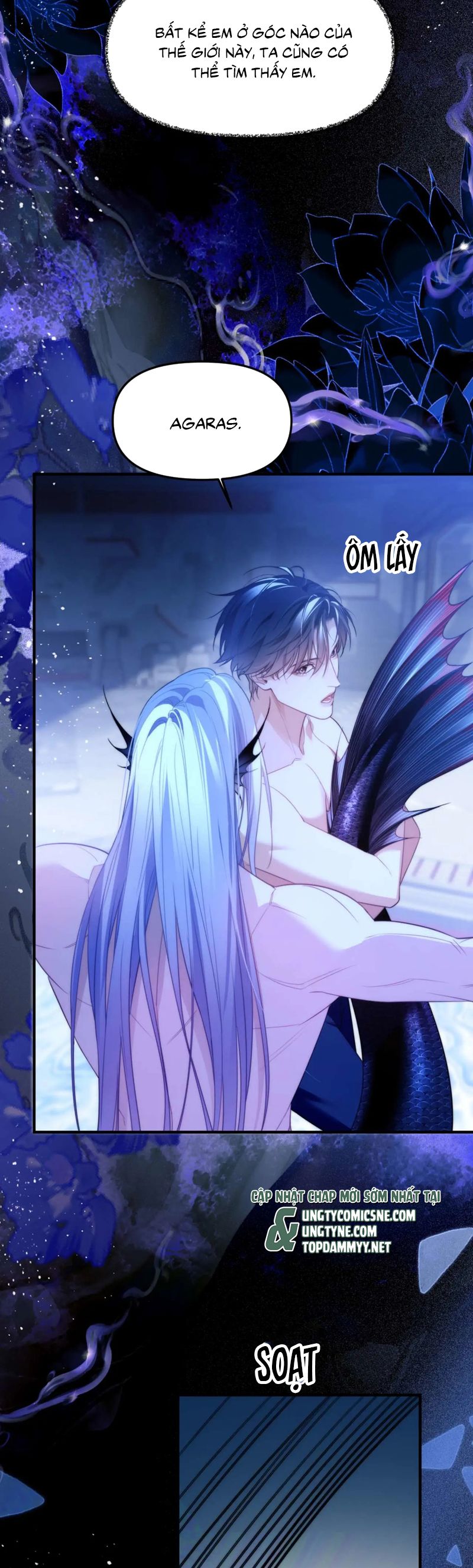 Desharow Nhân Ngư Chapter 79 - Next Chap 80