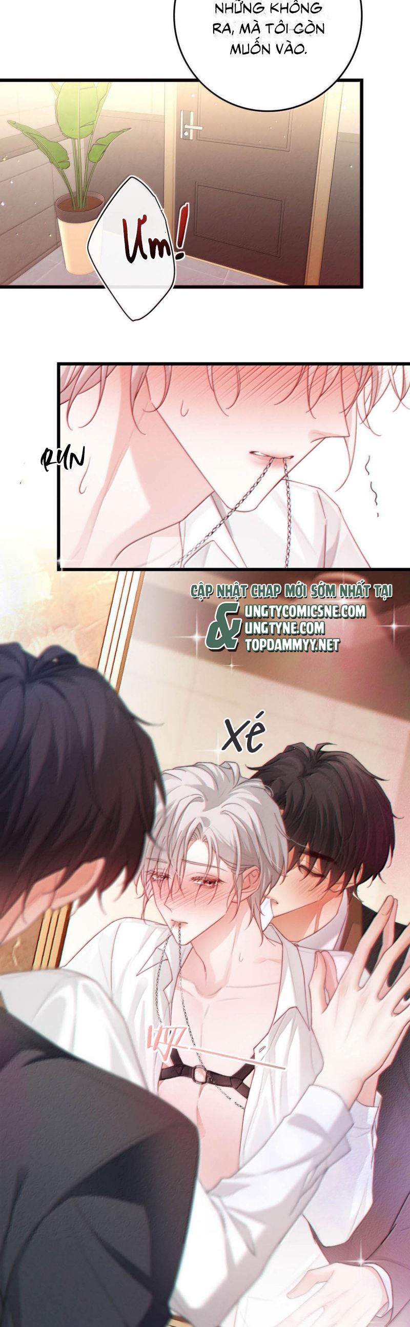 Nồng Đậm Tin Tức Tố Ngoại truyện 1 - Next Chapter 1