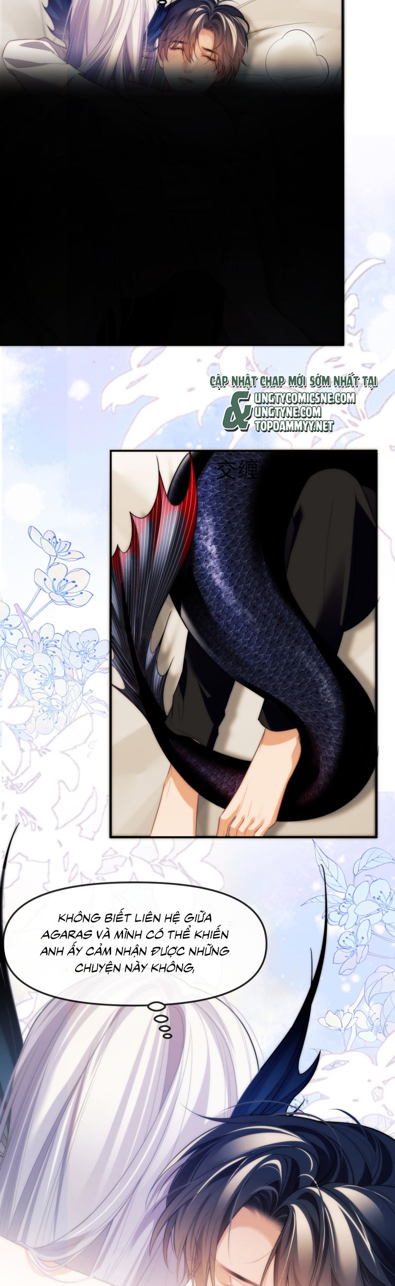 Desharow Nhân Ngư Chap 81 - Next Chap 82