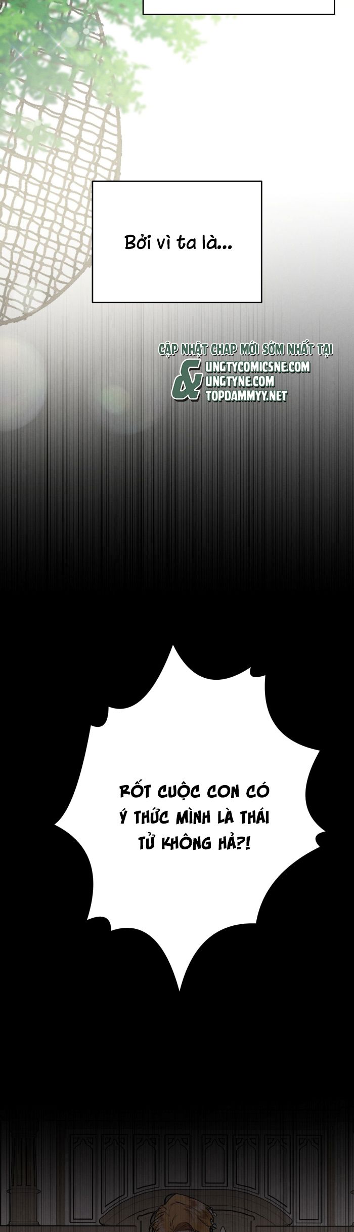 Hôn Nhân Gia Tộc Chap 23 - Trang 3