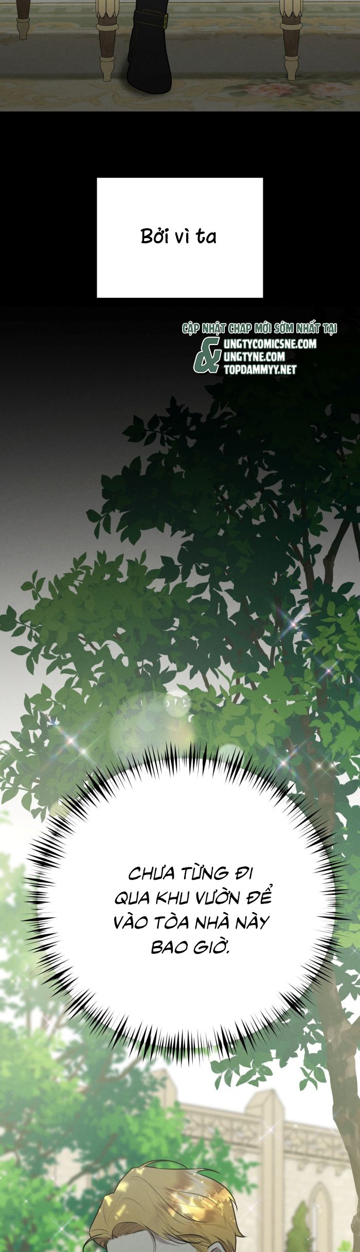 Hôn Nhân Gia Tộc Chap 23 - Trang 3