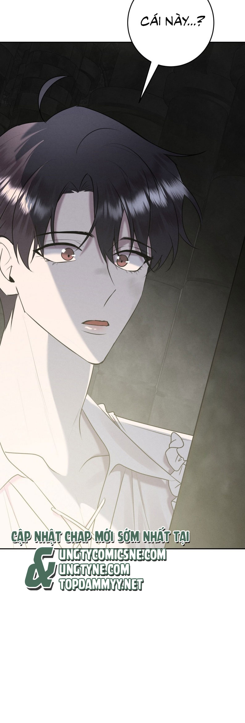 Hôn Nhân Gia Tộc Chap 24 - Trang 3