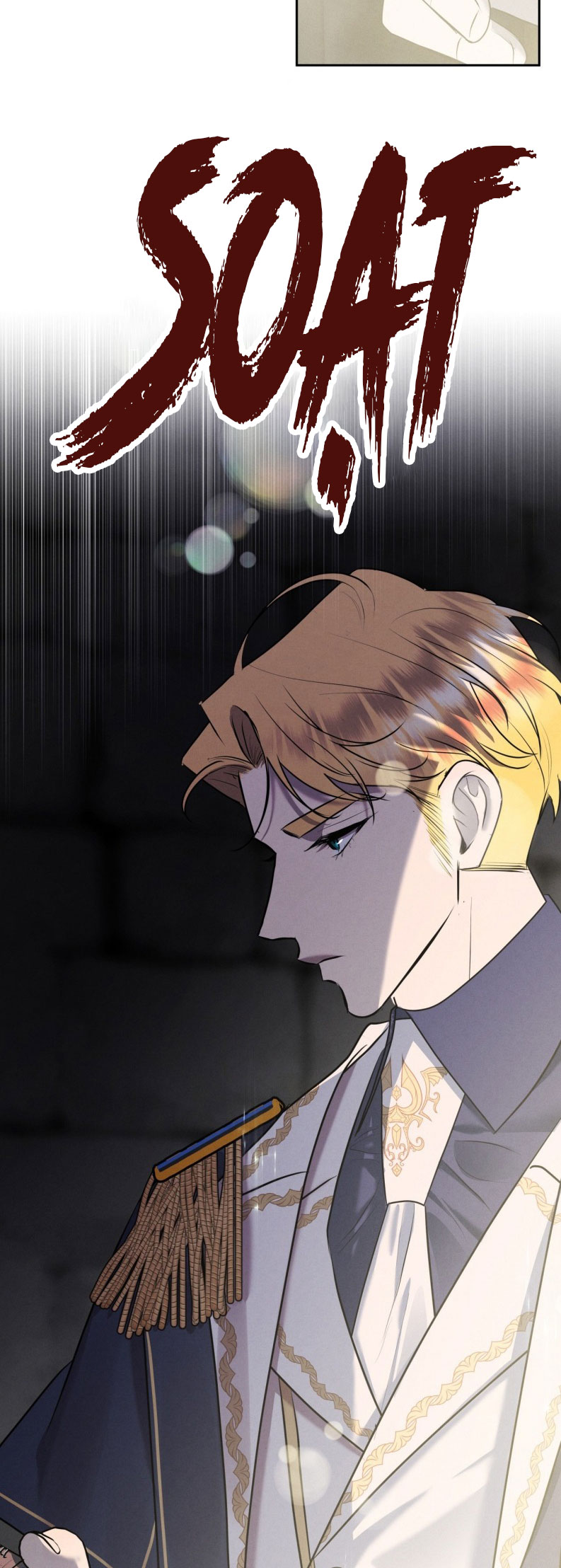 Hôn Nhân Gia Tộc Chap 24 - Trang 3