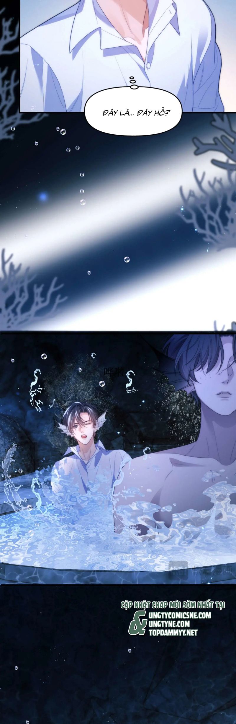 Desharow Nhân Ngư Chap 82 - Next Chap 83