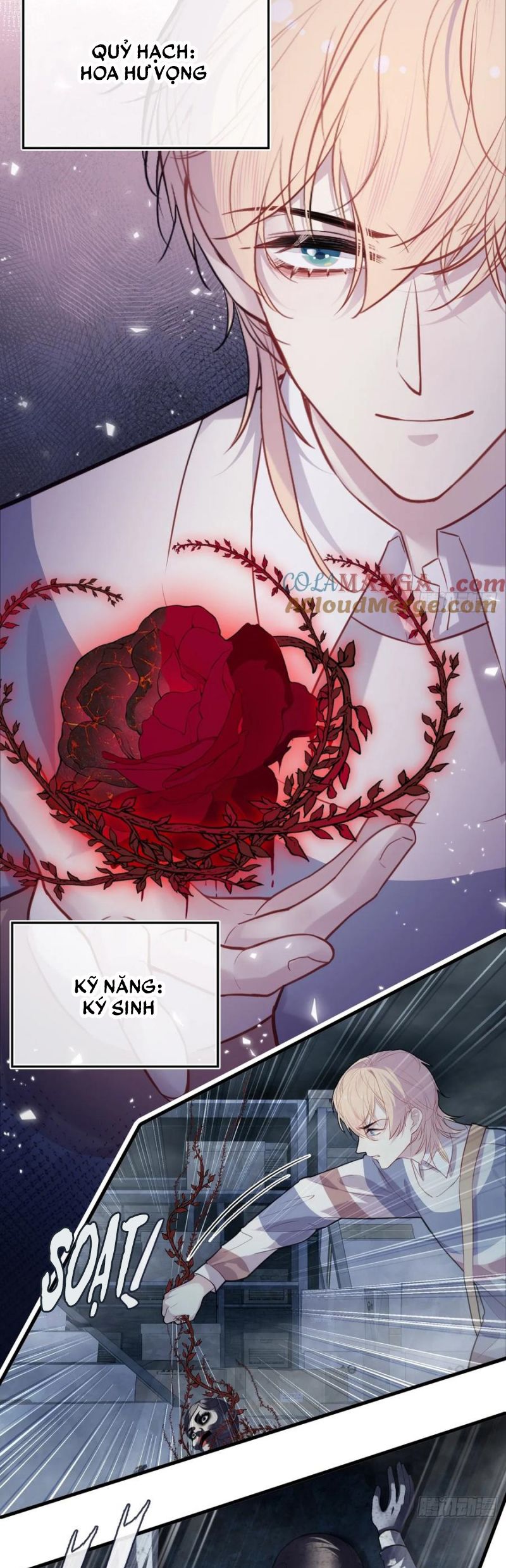 Anh Ấy Chưa Từng Rơi Xuống Chap 111 - Next Chap 112