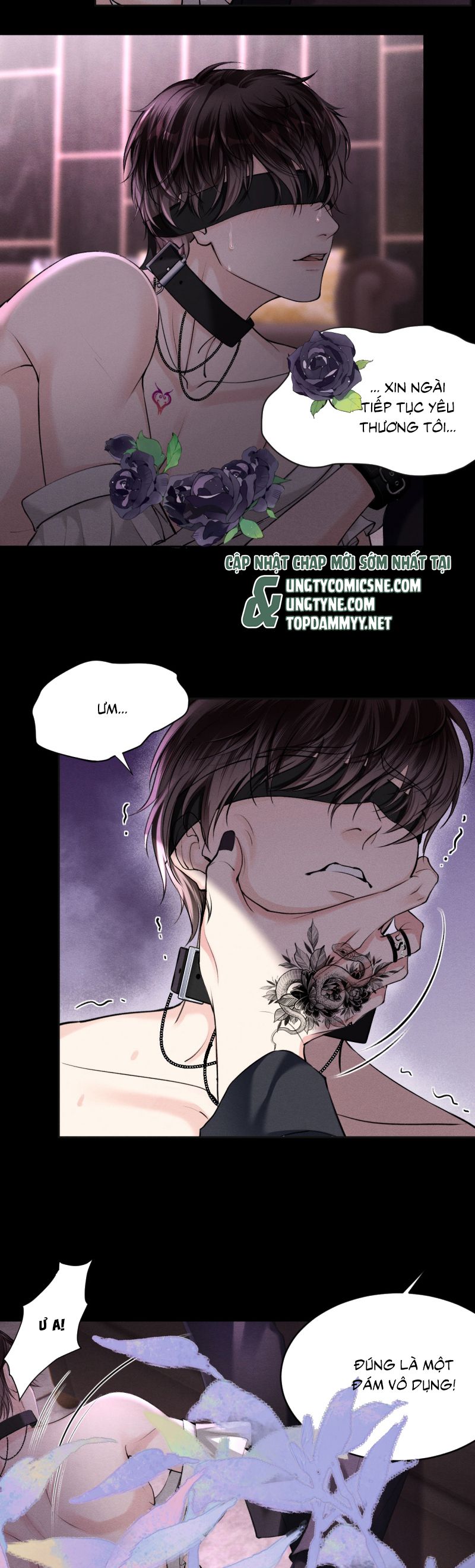 Nghịch Quang Chi Vũ Chap 14 - Next Chap 16
