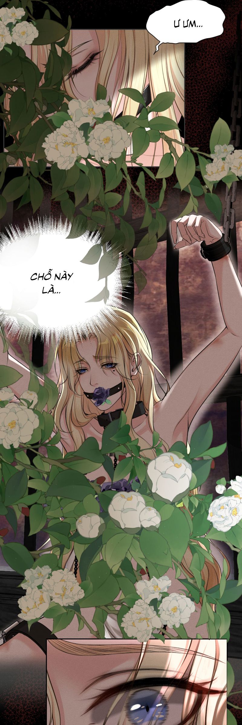 Nghịch Quang Chi Vũ Chap 14 - Next Chap 16