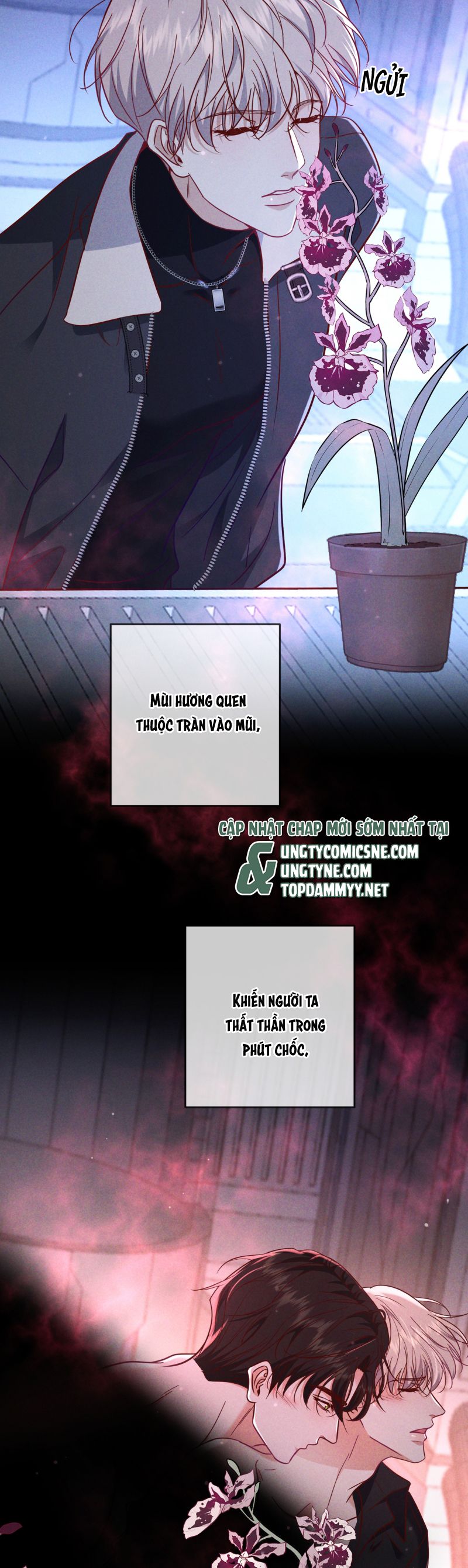 Đêm Tình Yêu Và Sát Ý Chapter 55 - Next Chap 56