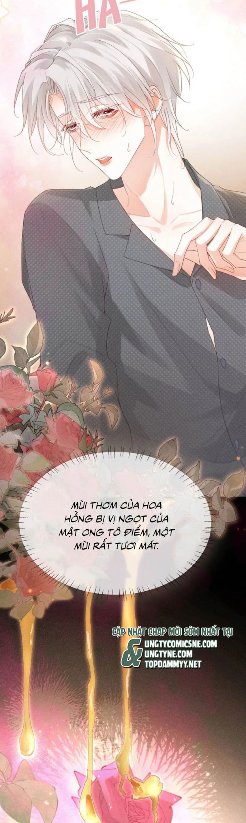 Nồng Đậm Tin Tức Tố Chap 23 - Next Chapter 24