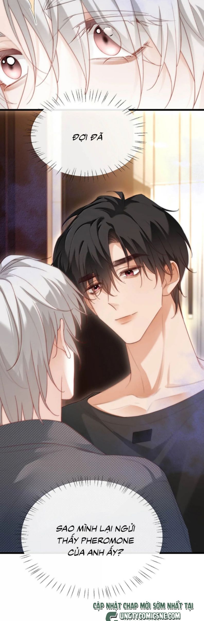 Nồng Đậm Tin Tức Tố Chap 23 - Next Chapter 24