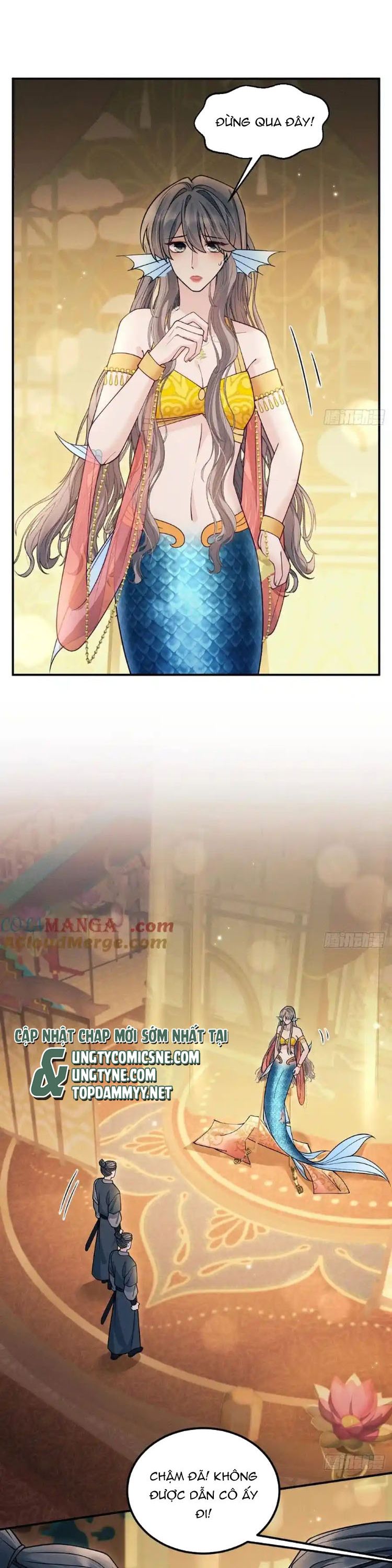 Tôi Hoài Nghi Ảnh Đế Đang Theo Đuổi Tôi Chap 183 - Next Chap 184