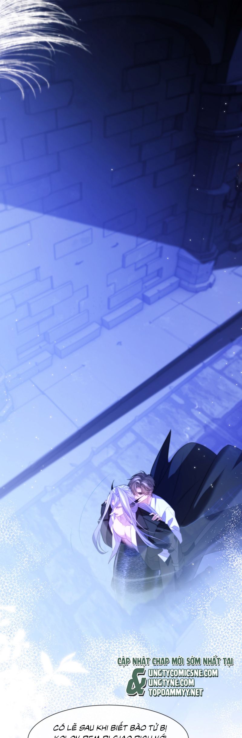 Desharow Nhân Ngư Chap 89 - Next Chap 90