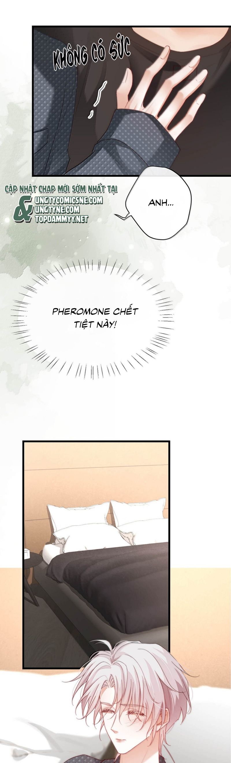 Nồng Đậm Tin Tức Tố Chapter 24 - Next Chap 25