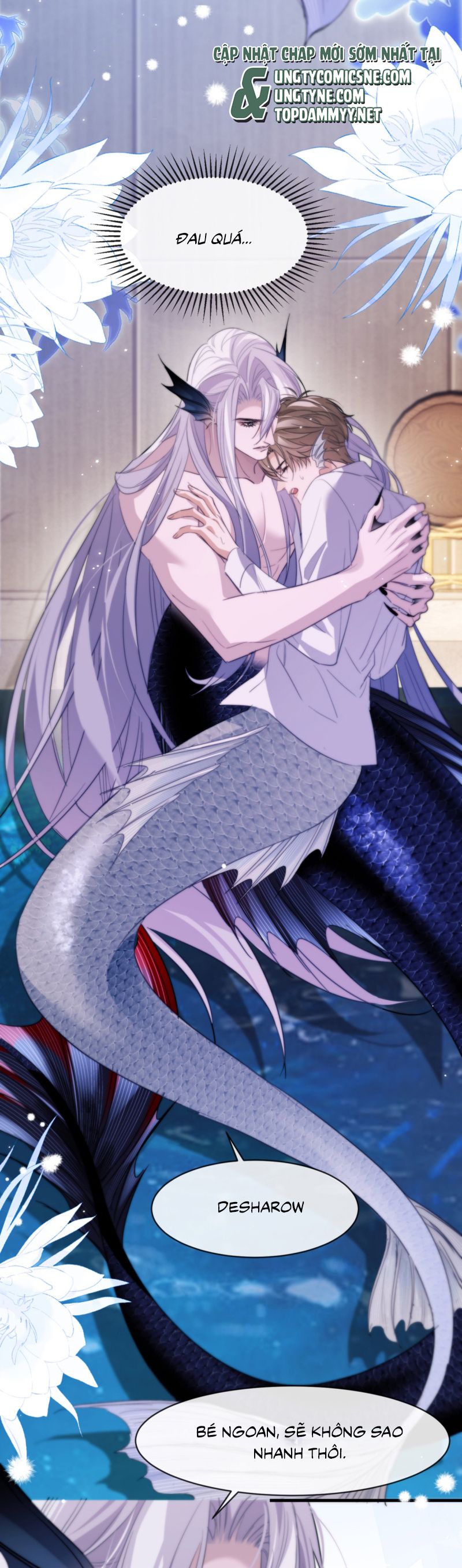 Desharow Nhân Ngư Chap 91 - Next Chap 92